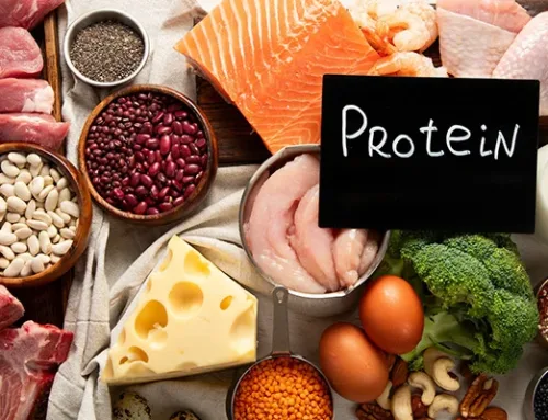 Protein, Metabolism, and Healthy Aging: Are You Getting Enough?