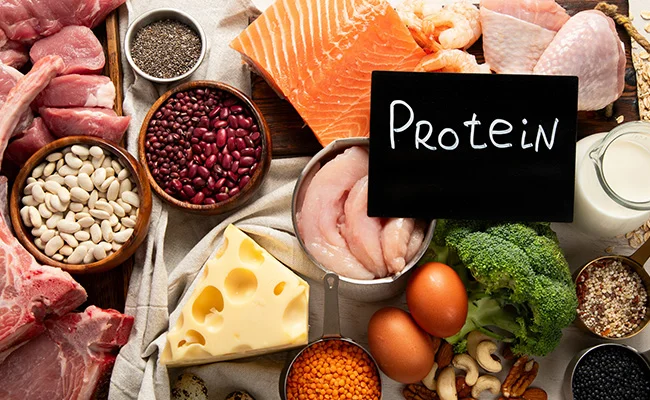 Protein, Metabolism, and Healthy Aging: Are You Getting Enough?